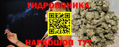 прущие крисы Моздок