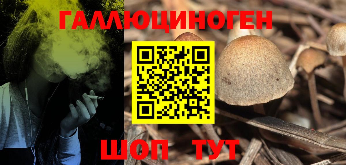 Видное  Галлюциногенные грибы MAGIC MUSHROOMS  Вход с VPN 